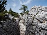 Rifugio Bai de Dones - Averau